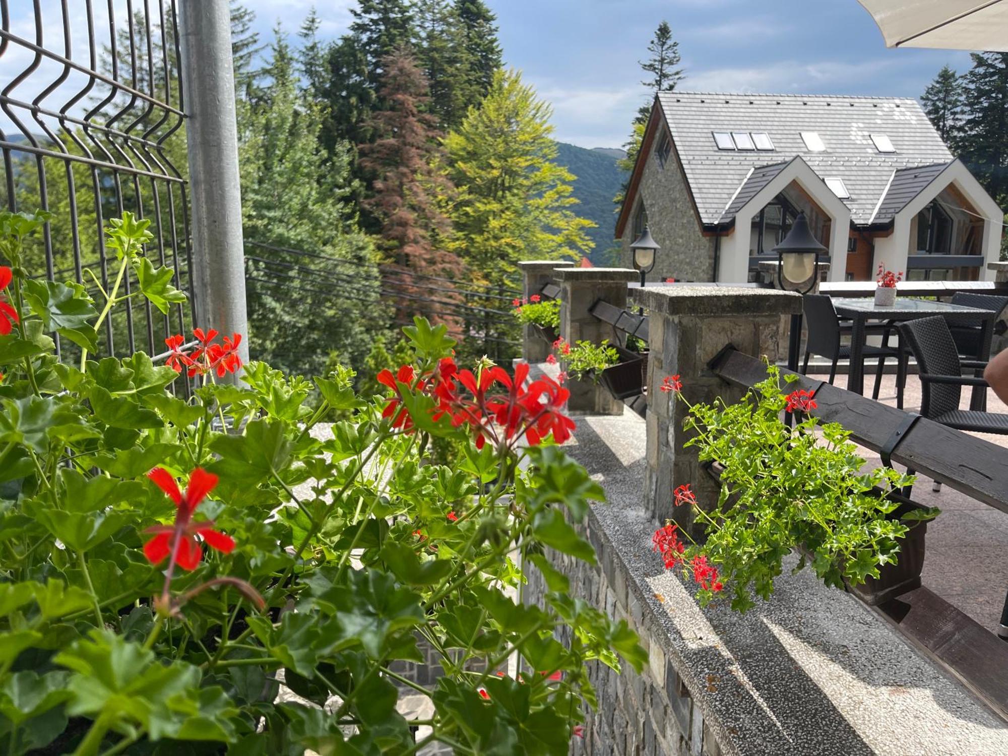 Vila Terase Sinaia Exterior foto